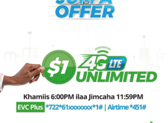 Internet service at an affordable price from Hormuud