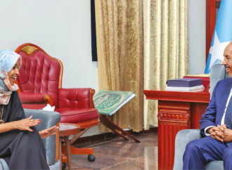 The success of the US-Africa Summit and the sidebar HSM High-Stakes Meeting