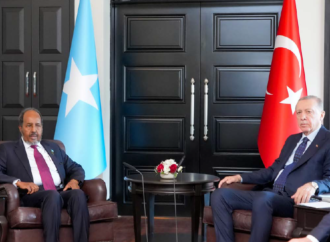The Turkish-Somali Connection: Why does the Horn of Africa Matter for Turkey?