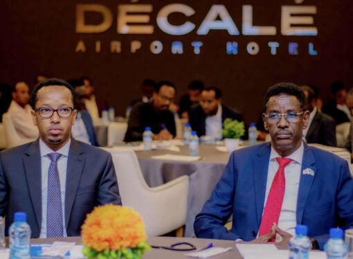 Somalia Charts Course for Streamlined Immigration with Five-Year Strategic Plan