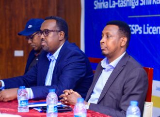 Somalia Powers Up for the Future with Electricity Licensing Plan