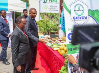 Somalia’s Agri-Tech Expo: A Catalyst for Agricultural Transformation